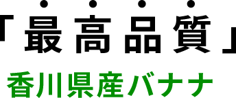 「最高品質」香川県産バナナ